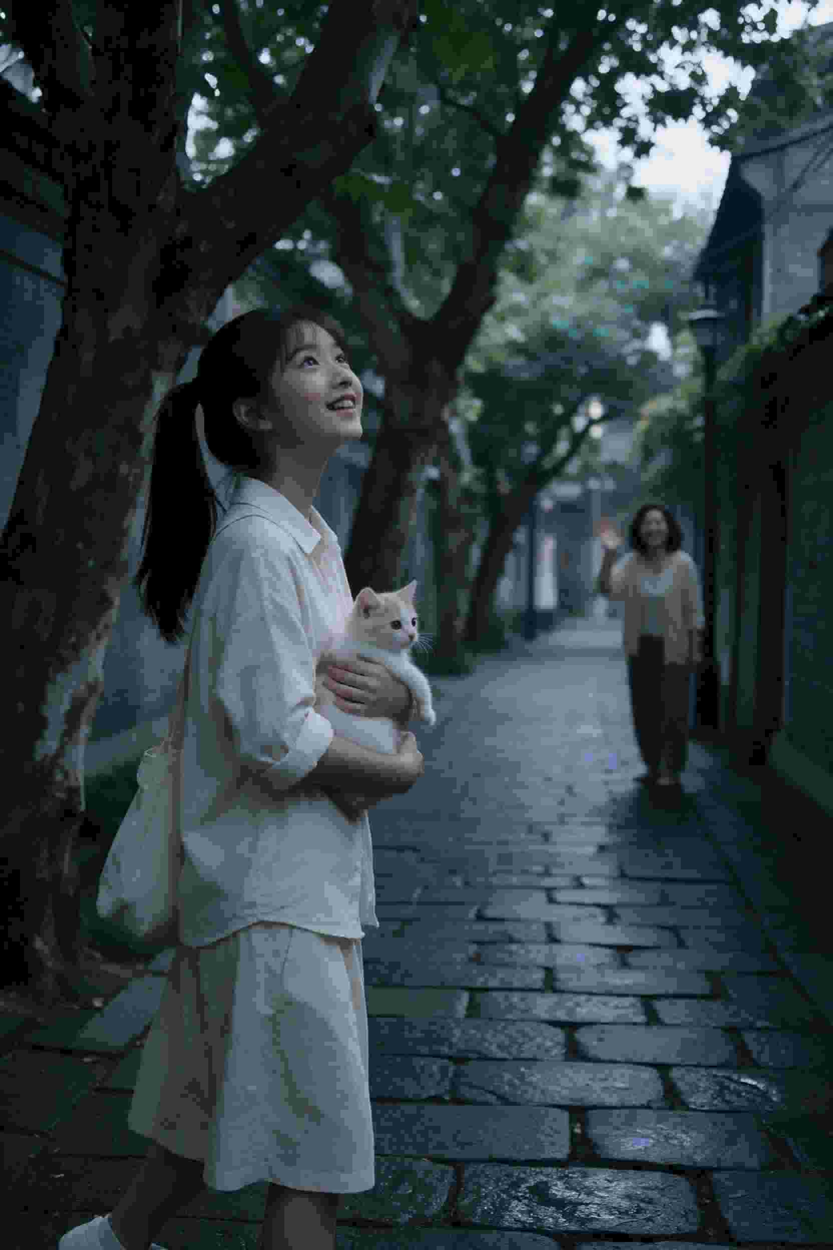 速度与激情